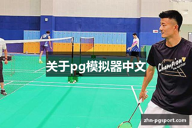 关于pg模拟器中文